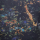 Coral Orange Camo 