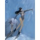 Women - Zebra Print Series Bikini Backless Wetsuit 2mm